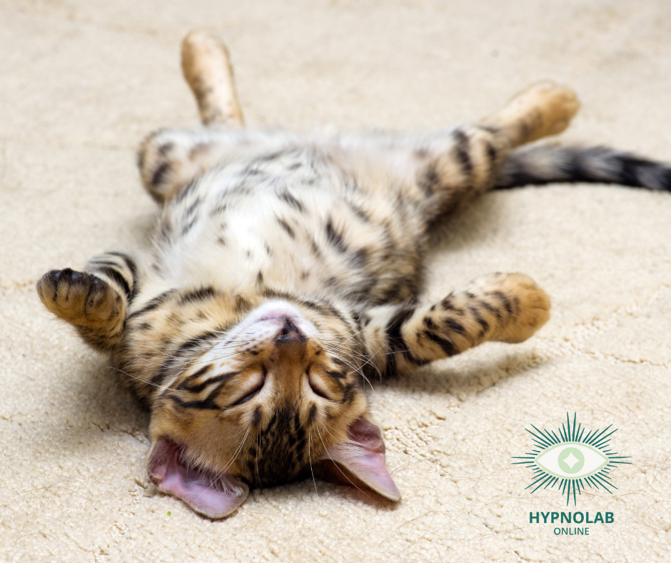 Hypnose en stress onbewuste problemen bewust maken-online hypnotherapie